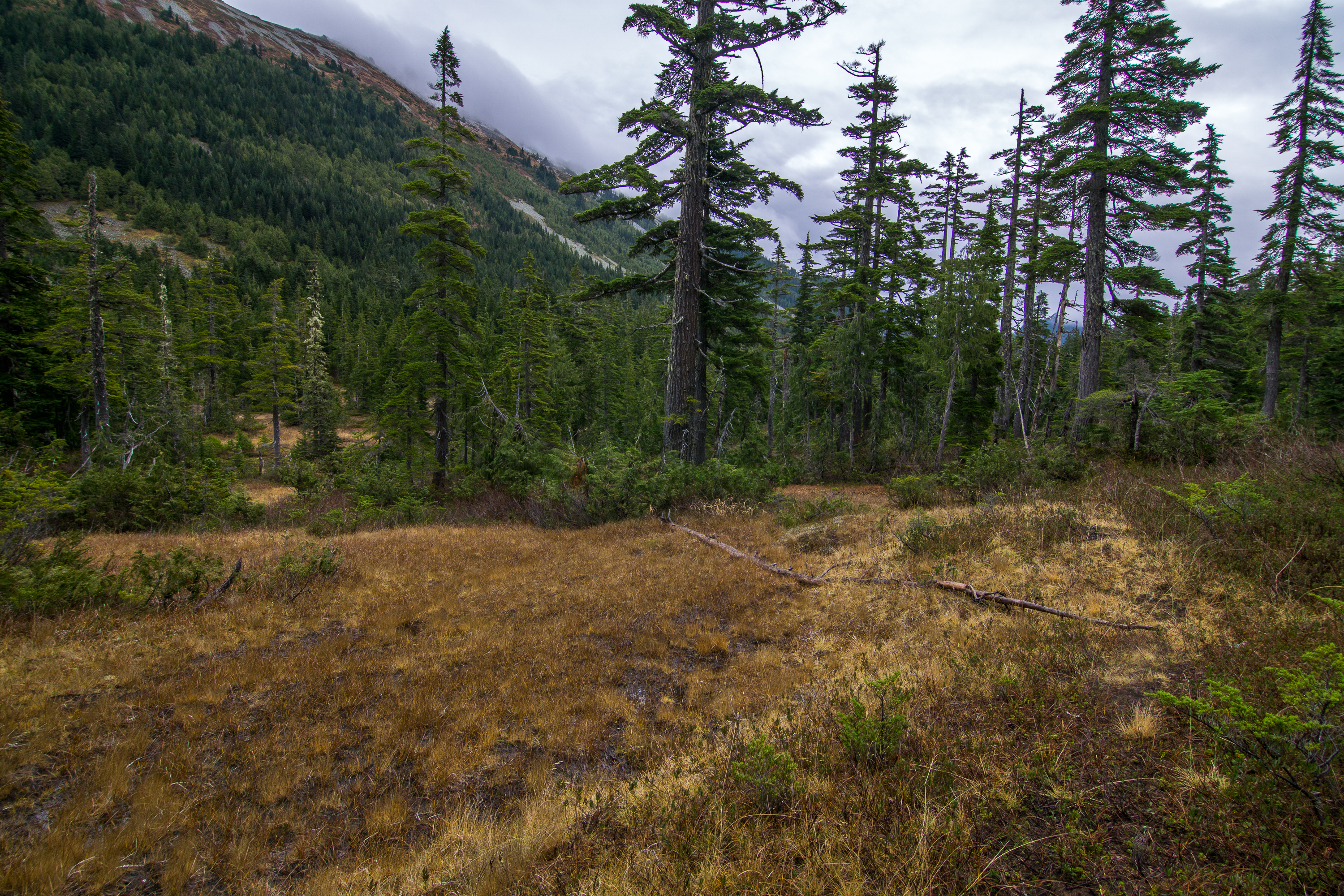 Eagle Lake via Barclay Lake Trailhead