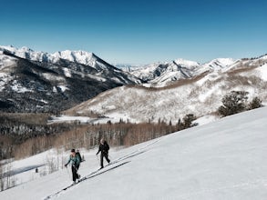 Backcountry Ski Willow Fork