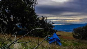 Camp at Juniper Campground in Mount Diablo SP