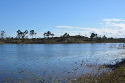 Hike the Green Loop Trail at Jonathan Dickinson State Park