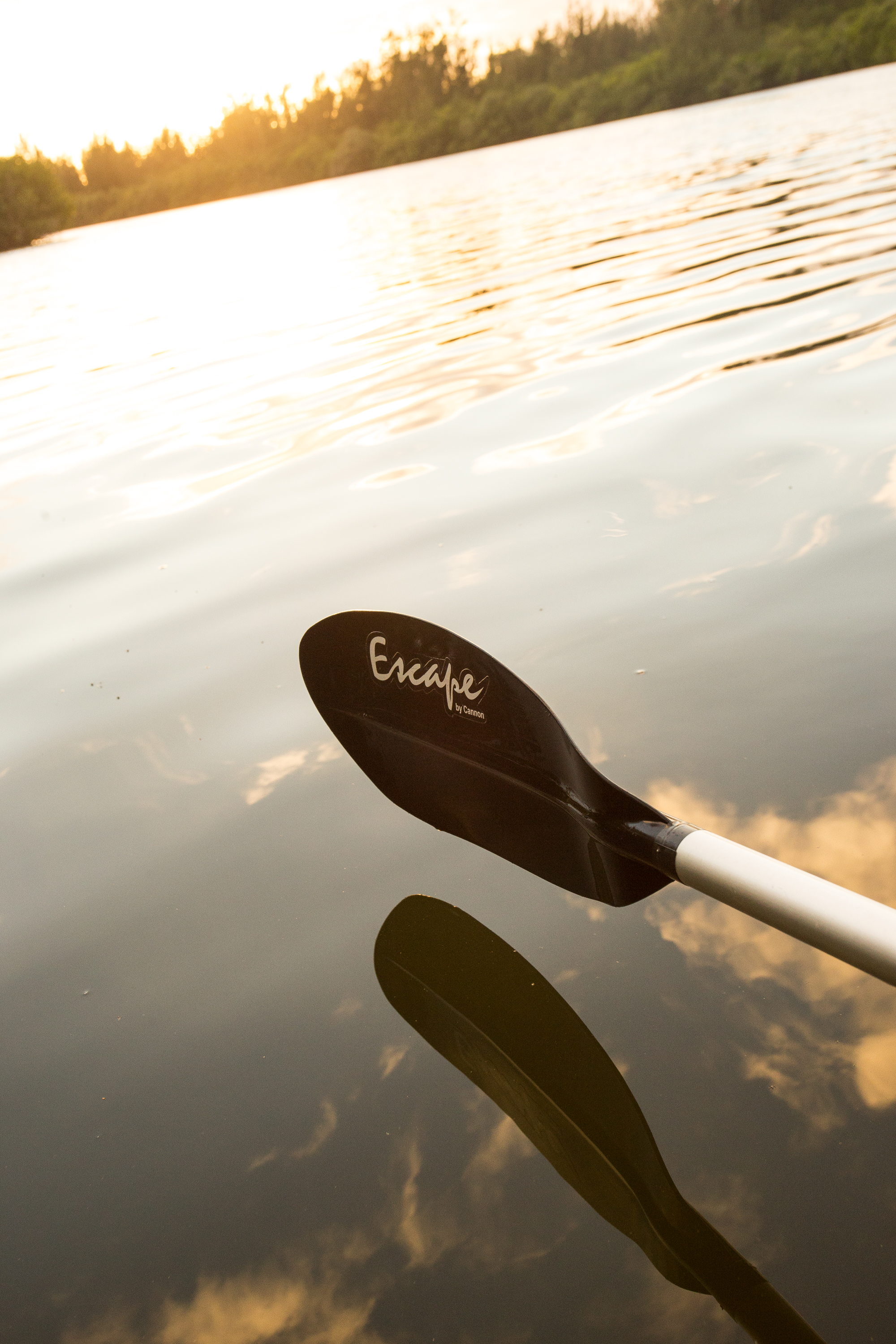Kayak Round Island