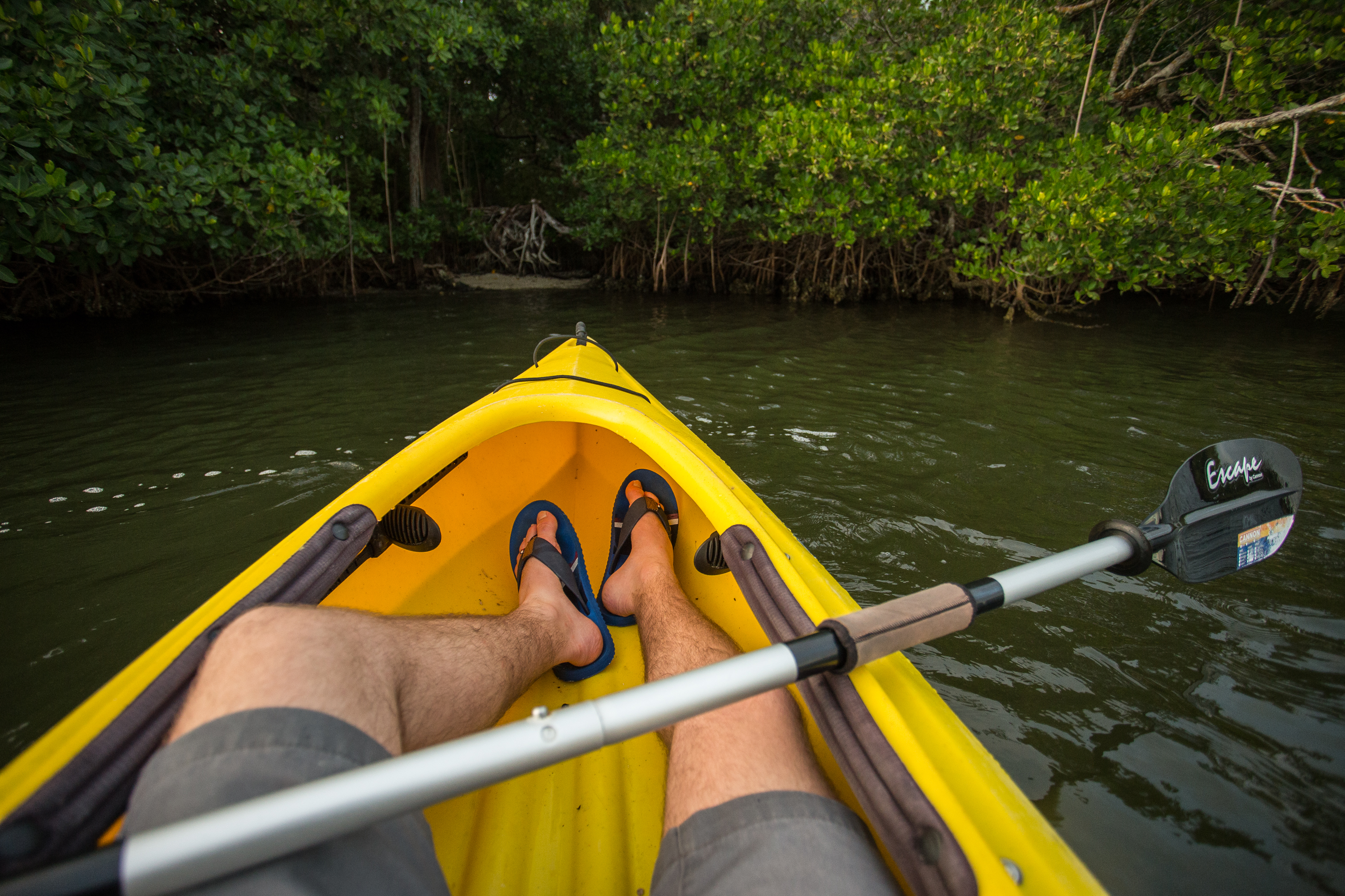 Kayak Round Island