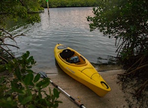 Kayak Round Island