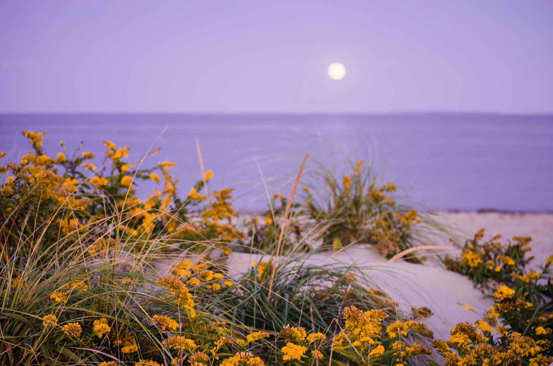 Hike Gooseberry Island