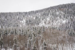 Snowshoe Jim Creek Trail