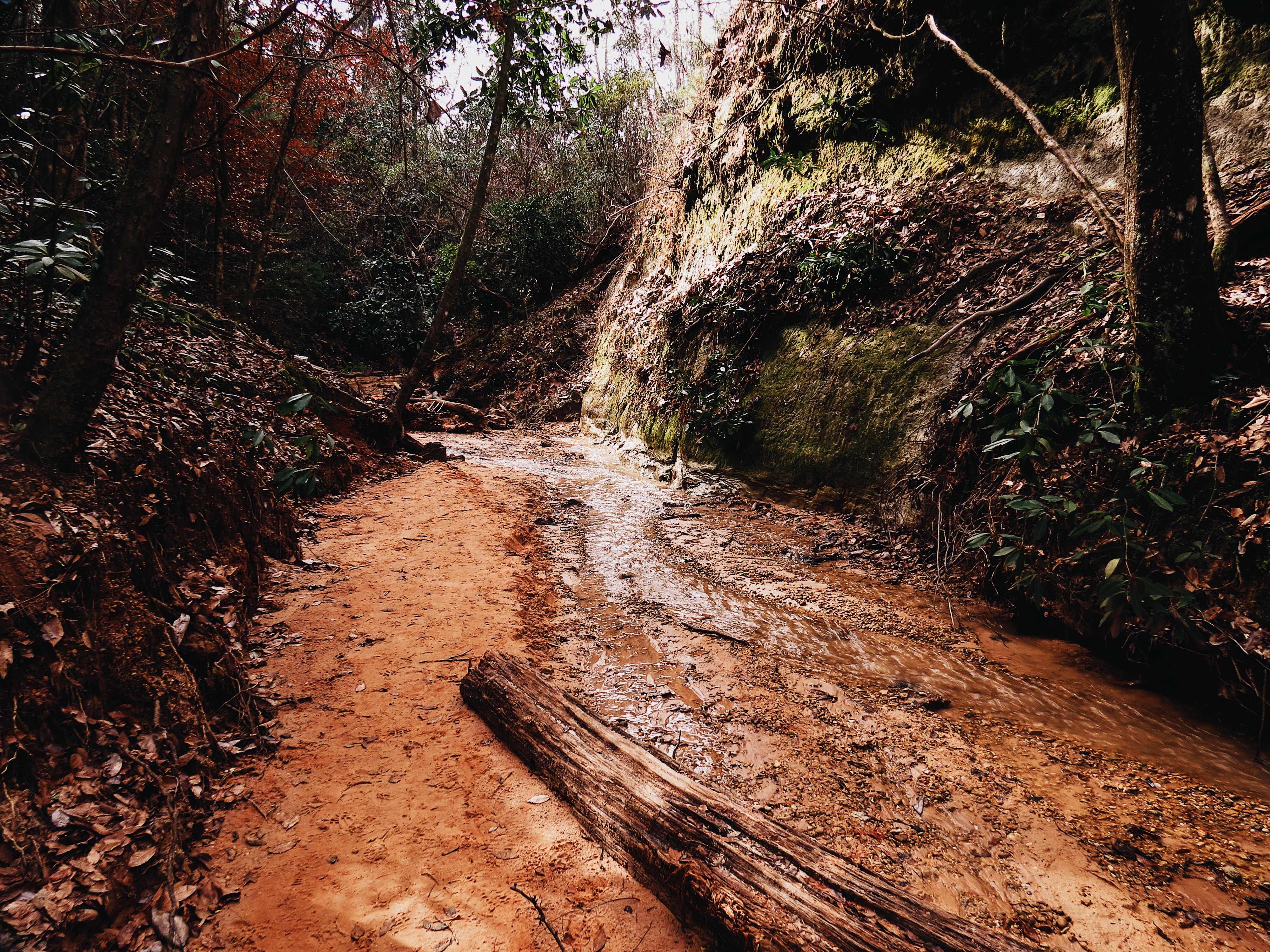 Red Bluff 