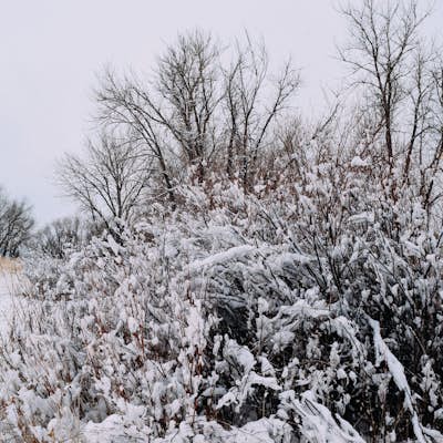 Explore Cherry Creek State Park in Winter