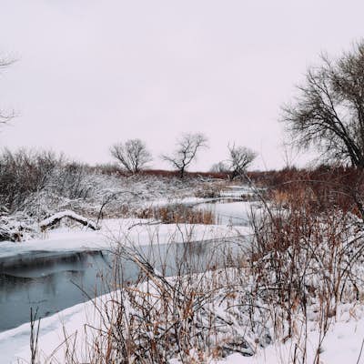 Explore Cherry Creek State Park in Winter