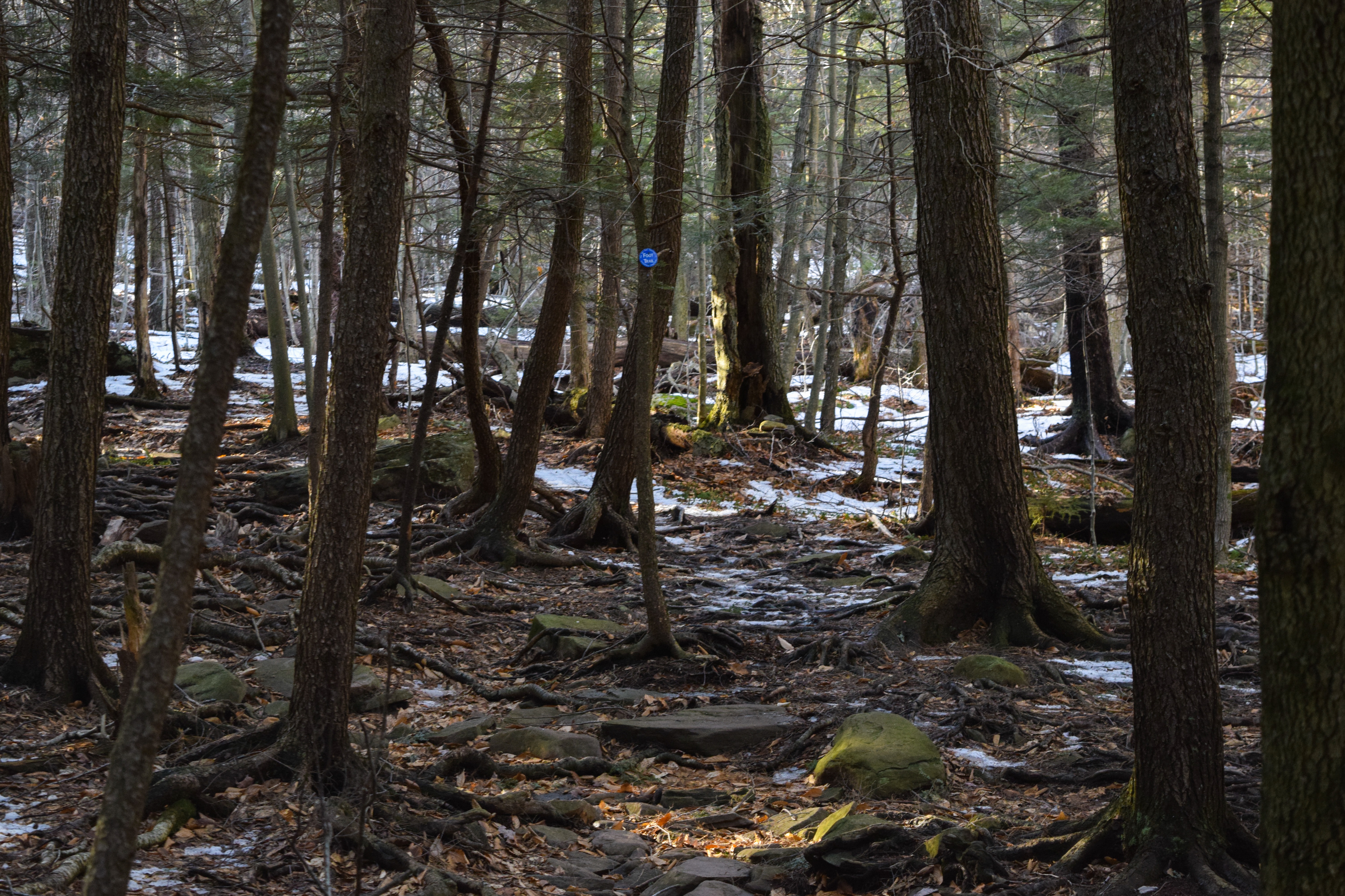 Hike Twin Mountain