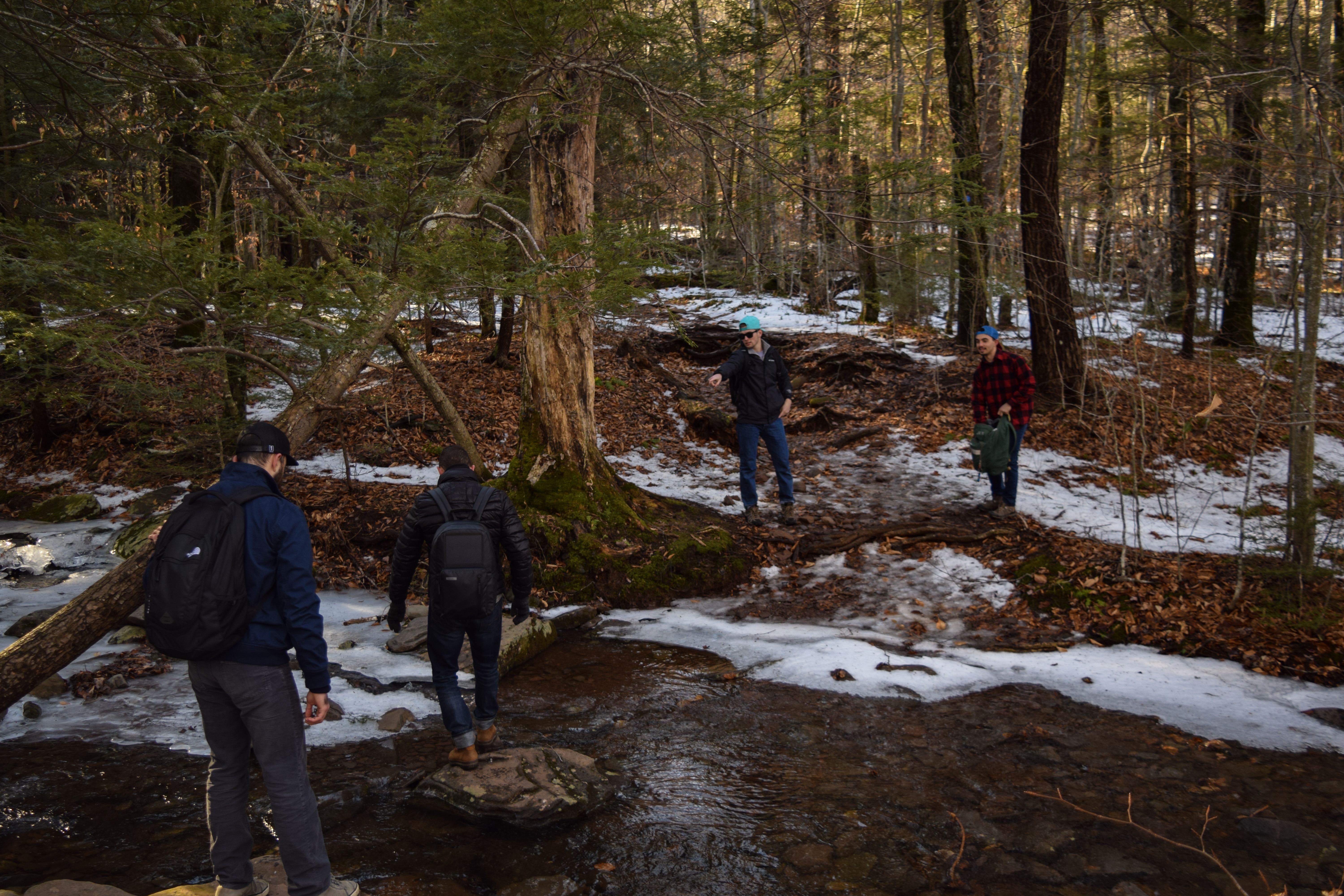 Hike Twin Mountain