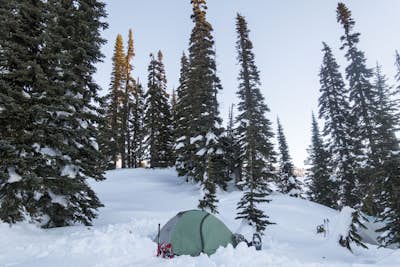 Snow Camping in Mt. Rainier National Park