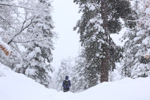 Snowshoe to Grand View Point