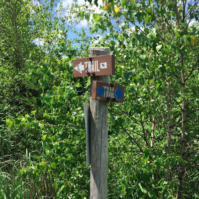 Hike Up the Appalachian Trail at Lehigh Gap