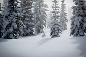 Cross-Country Ski to Drifter Hut