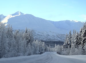 A Winter Road Trip on Yukon and Alaska's Golden Circle