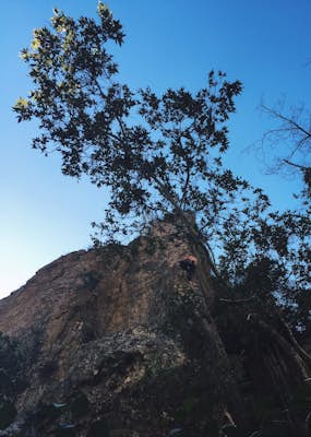Climb at Wheeler Gorge