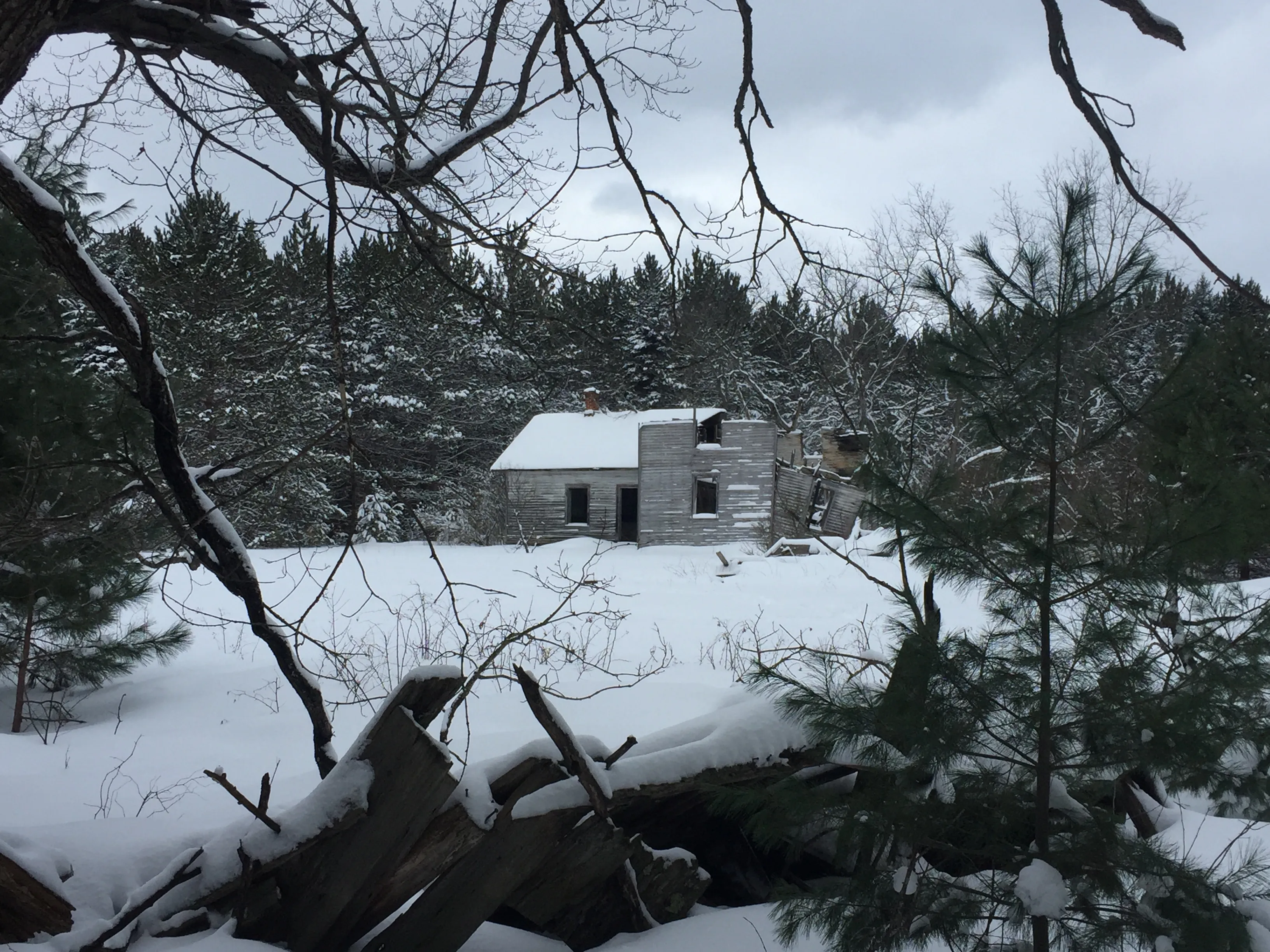 Snowshoe at Boyne Mountain 