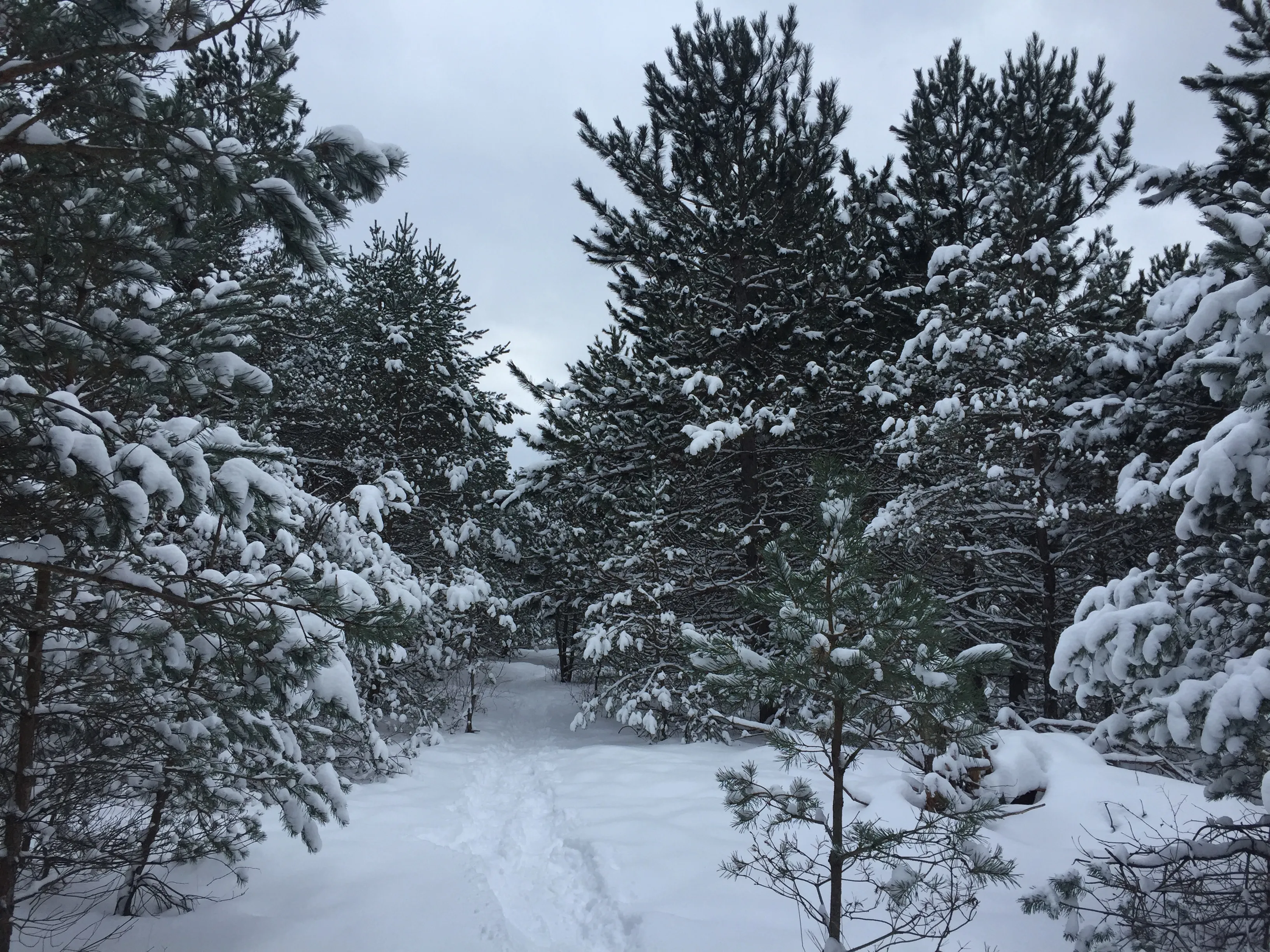 Snowshoe at Boyne Mountain 