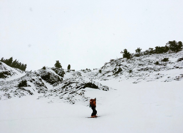 Backcountry Ski Mineral Fork