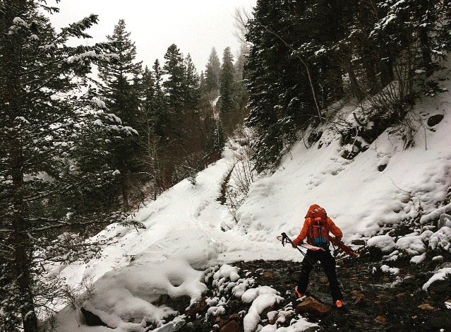 Backcountry Ski Mineral Fork