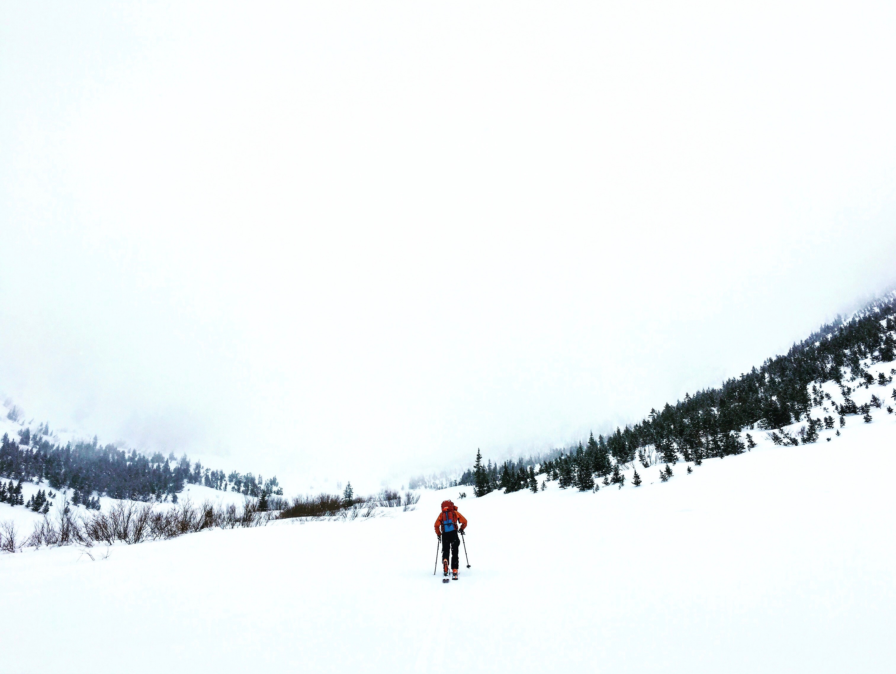 Backcountry Ski Mineral Fork