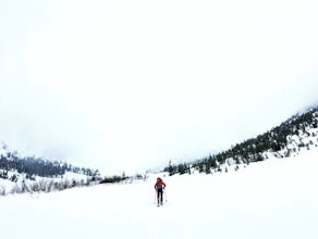 Backcountry Ski Mineral Fork