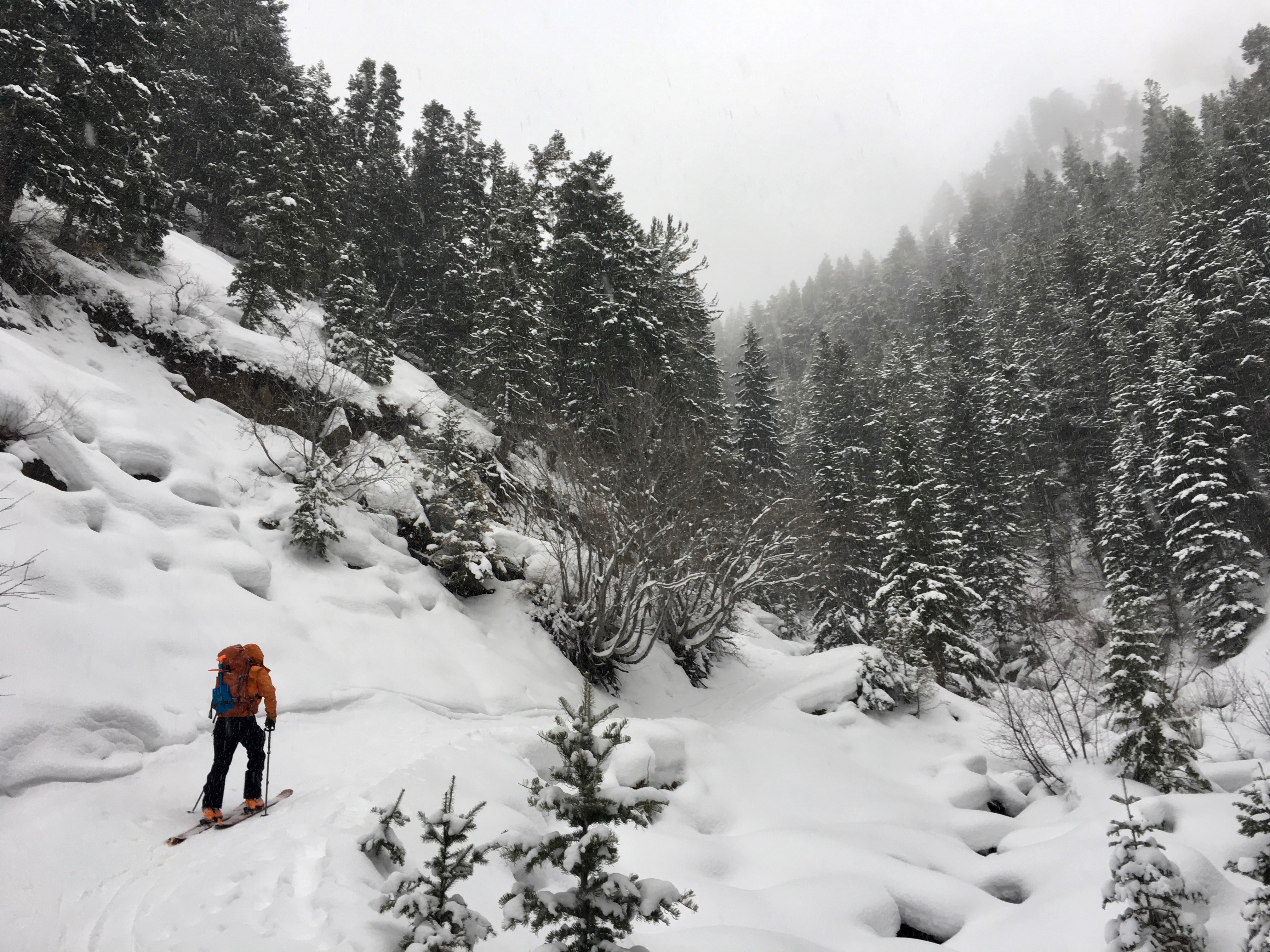 Backcountry Ski Mineral Fork