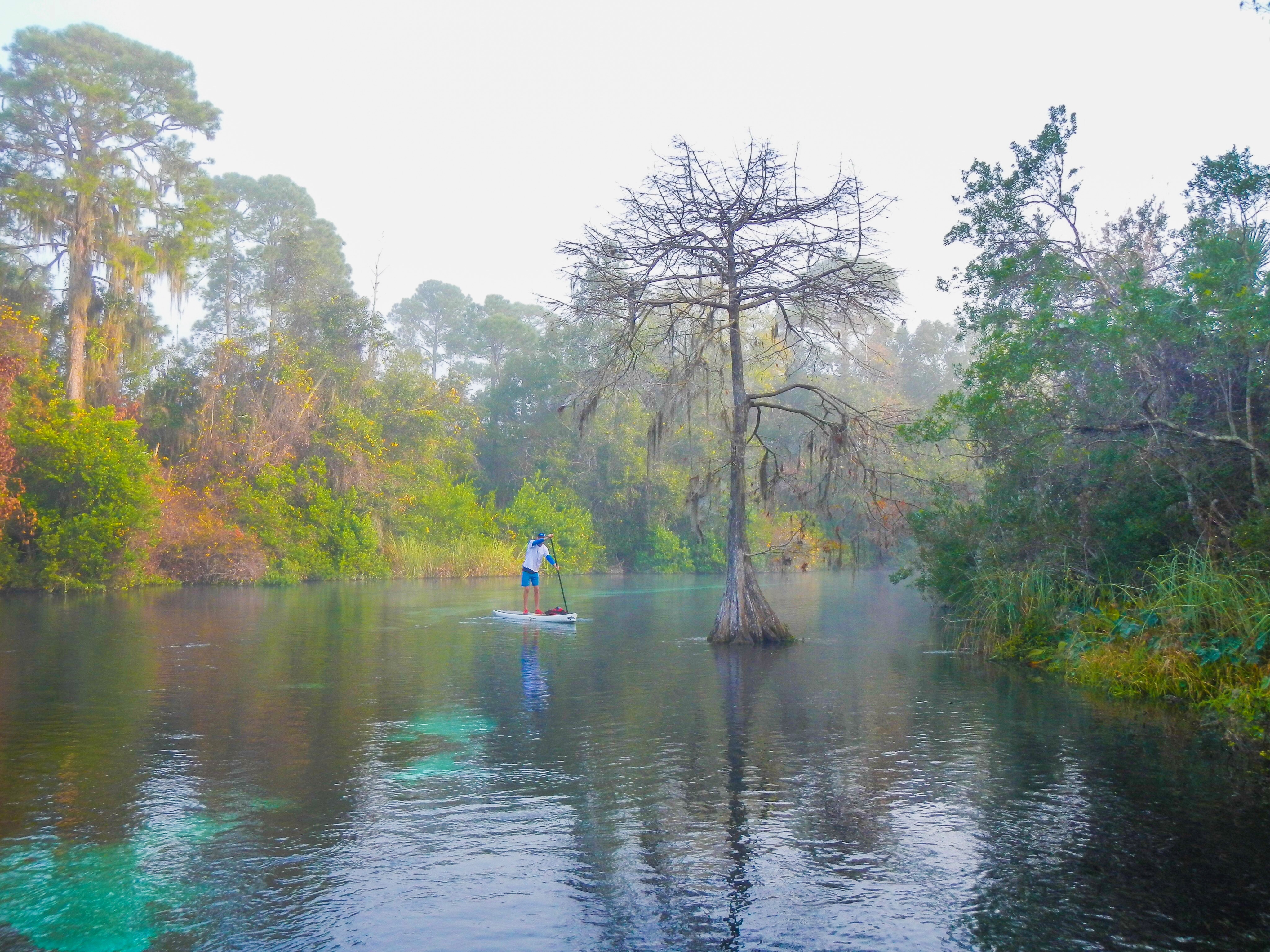 Paddle the Weeki Wachee River, Weeki Wachee, Florida