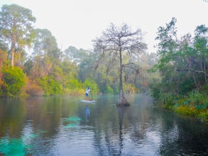 Paddle the Weeki Wachee River