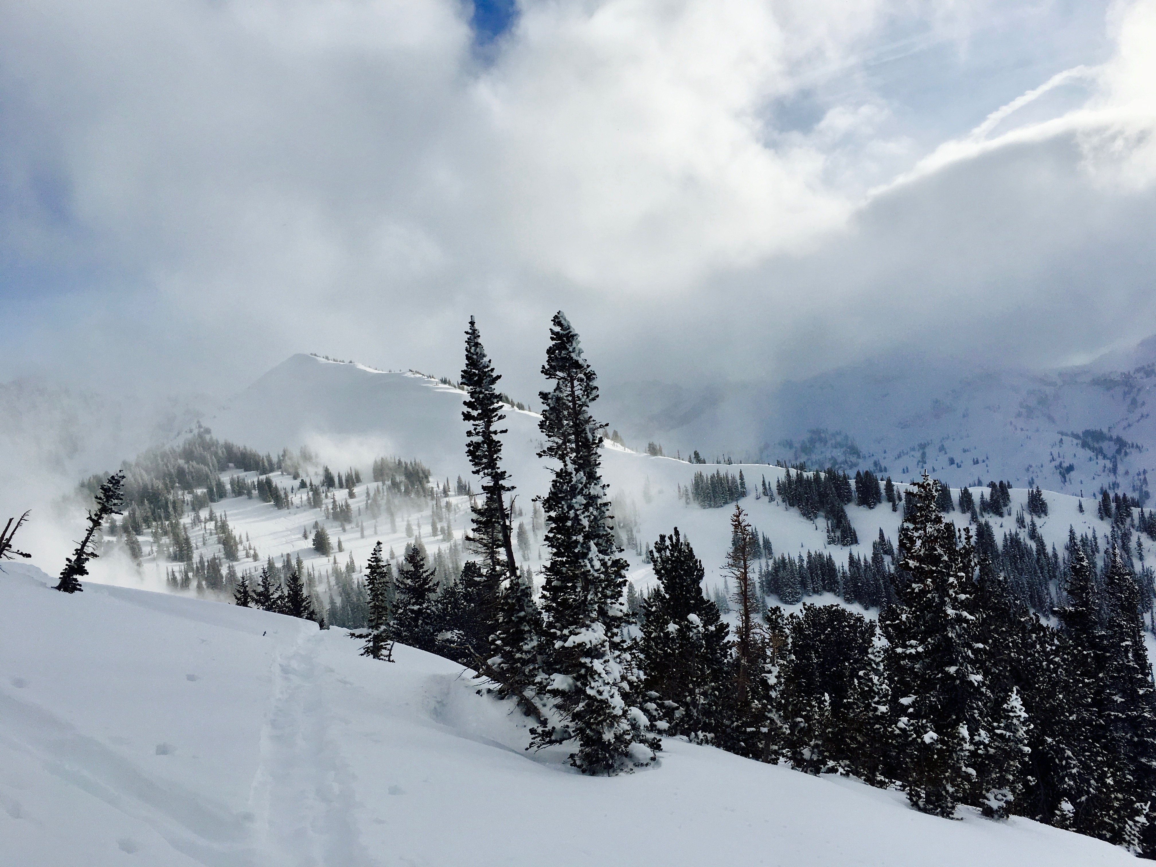 Backcountry Ski Grizzly Gulch