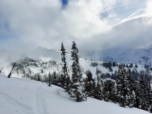 Backcountry Ski Grizzly Gulch