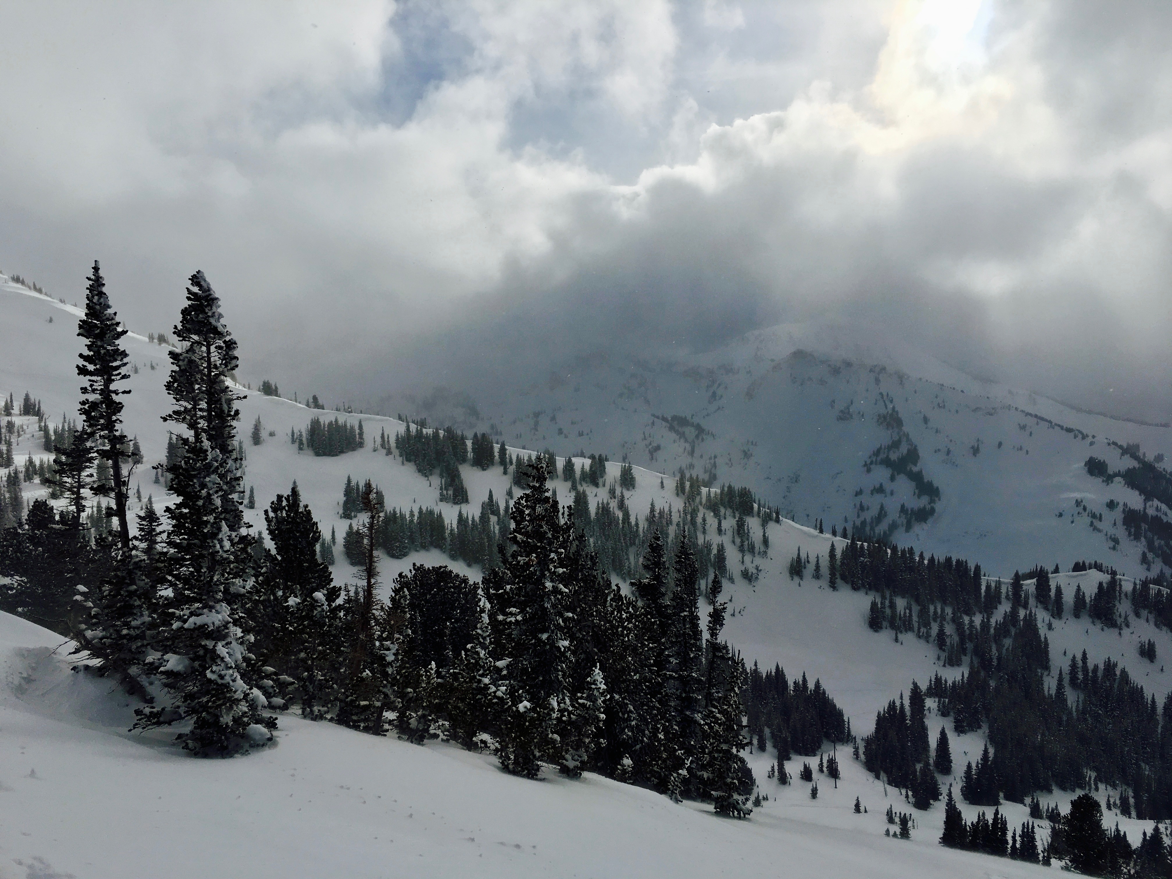 Backcountry Ski Grizzly Gulch