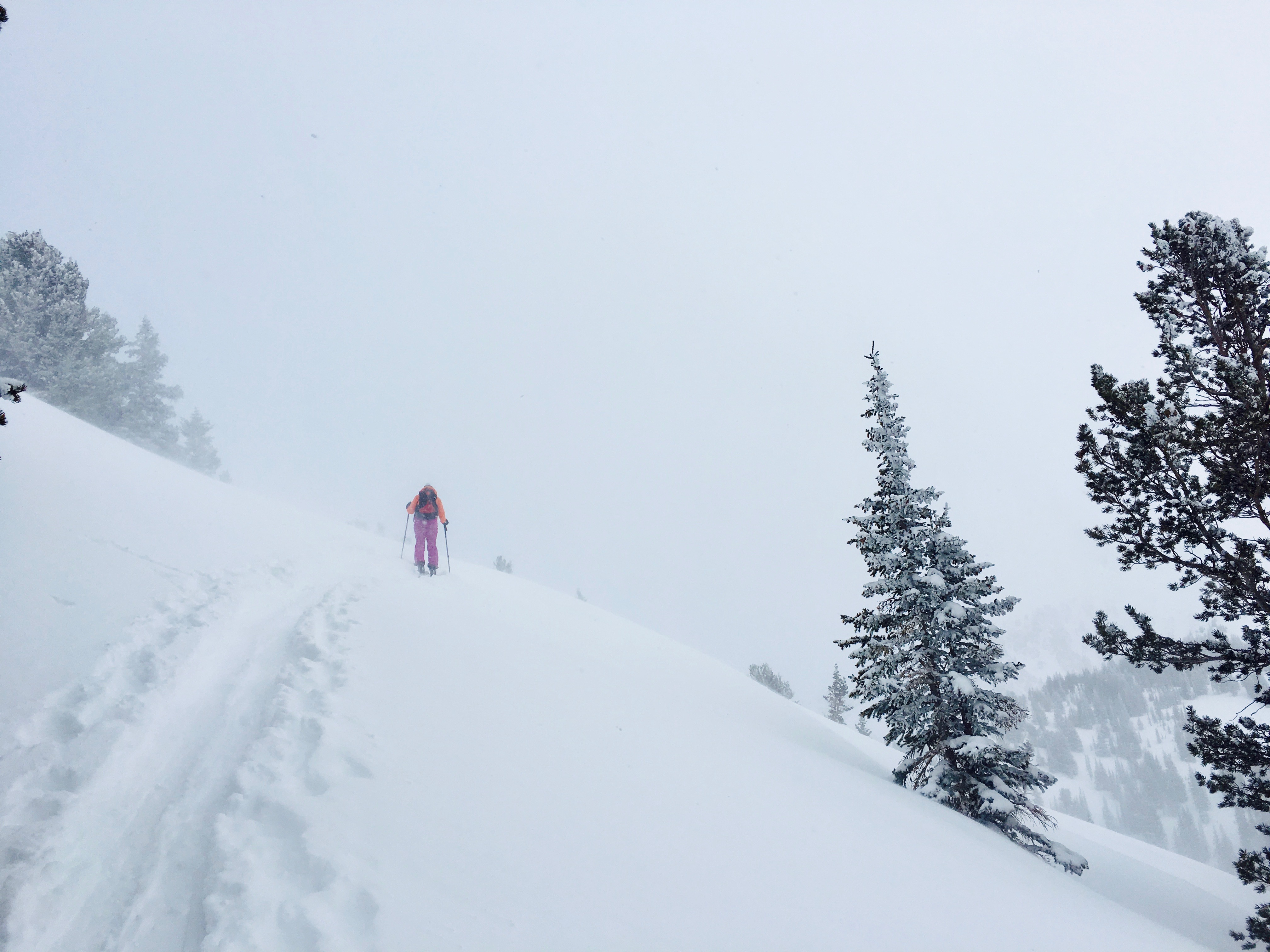 Backcountry Ski Grizzly Gulch