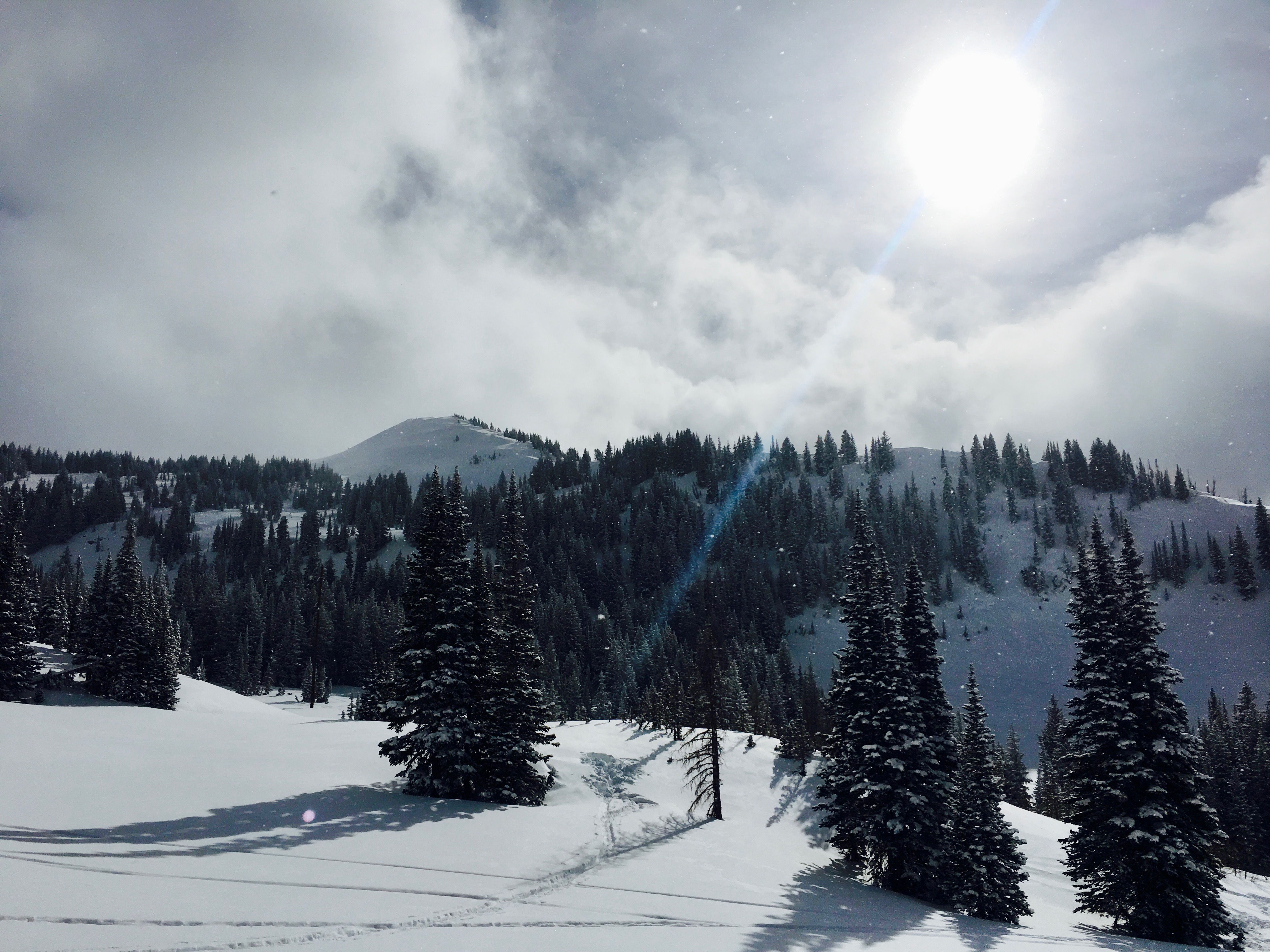 Backcountry Ski Grizzly Gulch