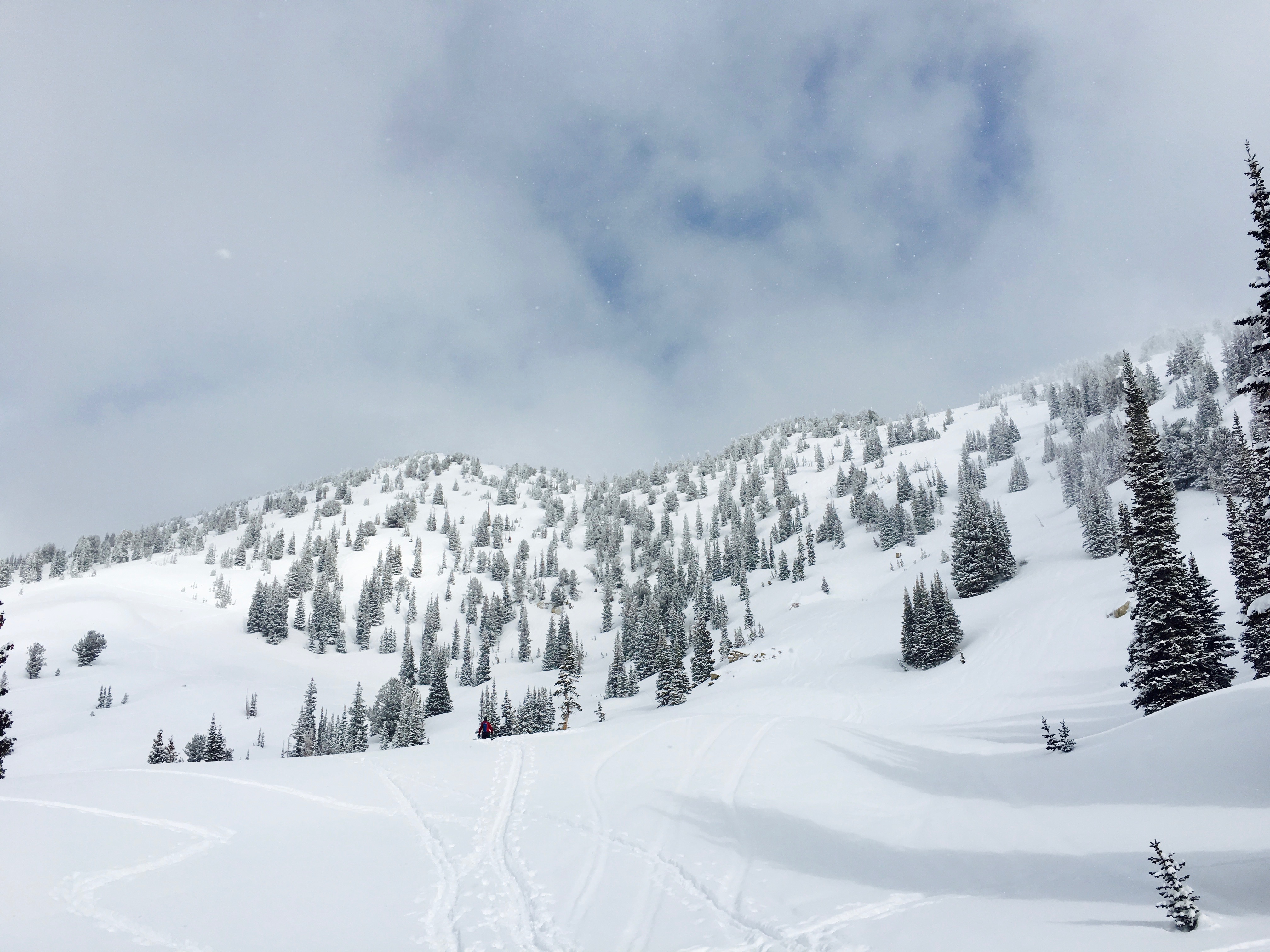 Backcountry Ski Grizzly Gulch