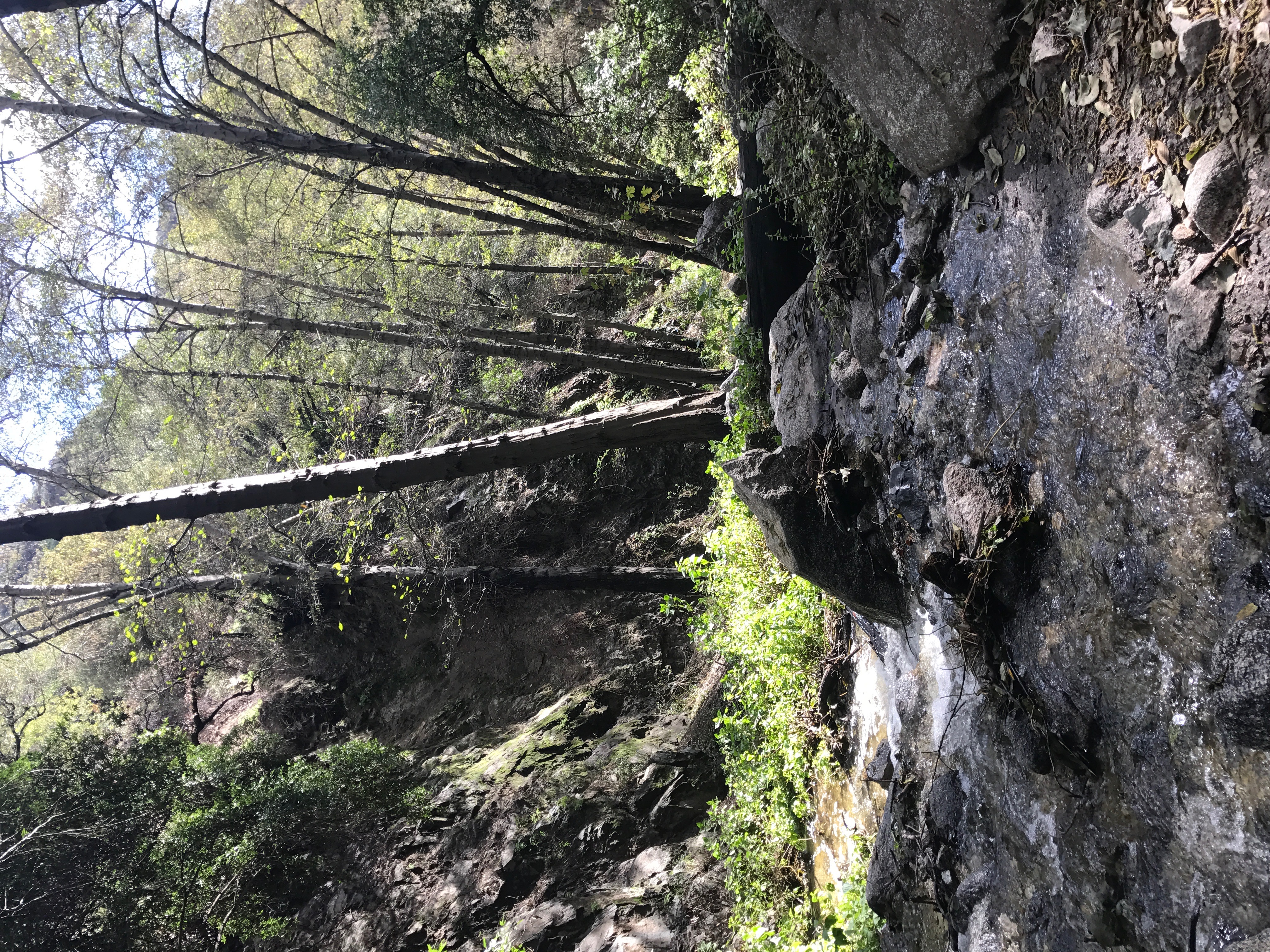 Monrovia Falls