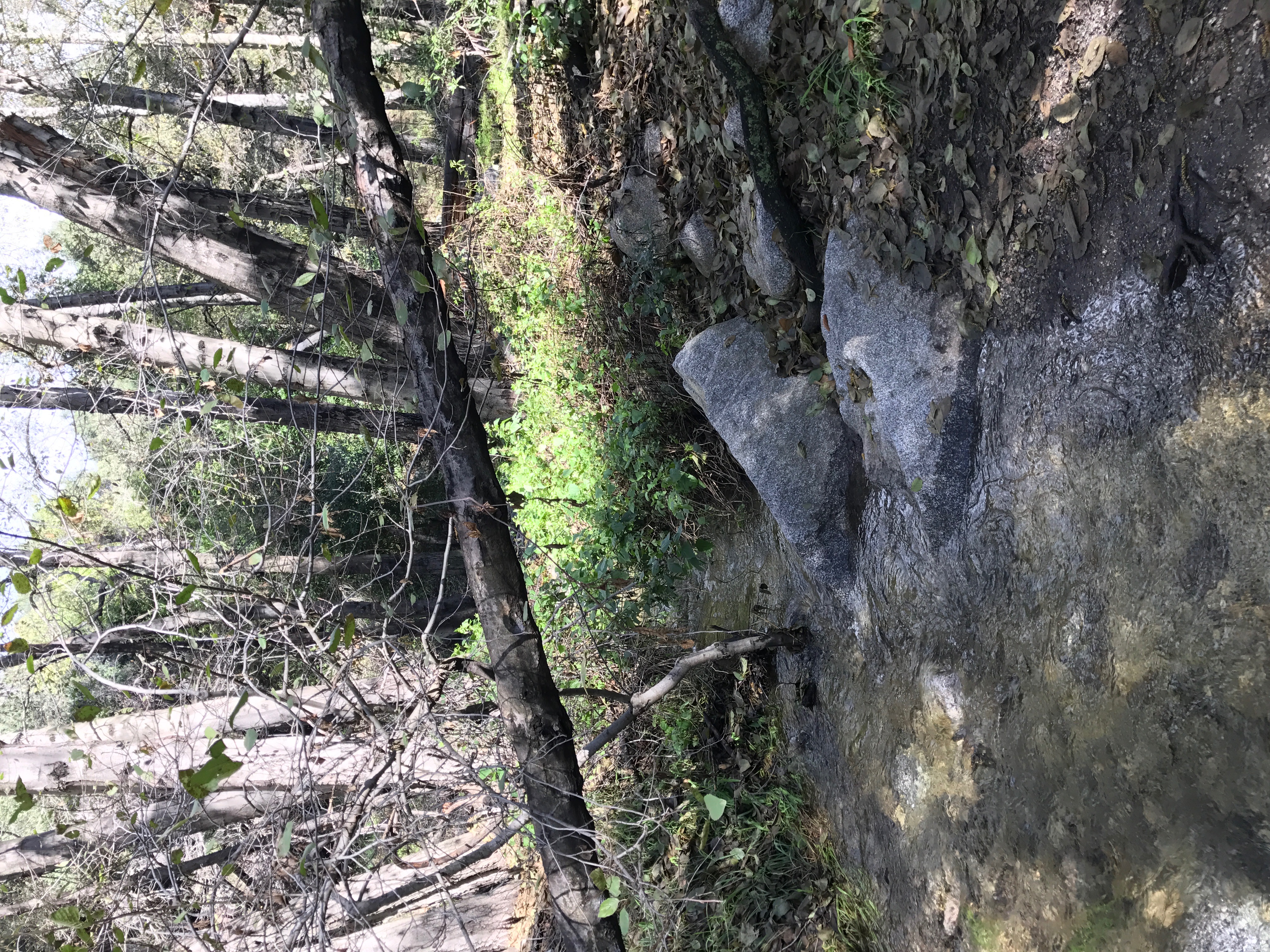 Monrovia Falls