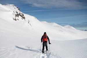 Snowshoe the Skyline Trail