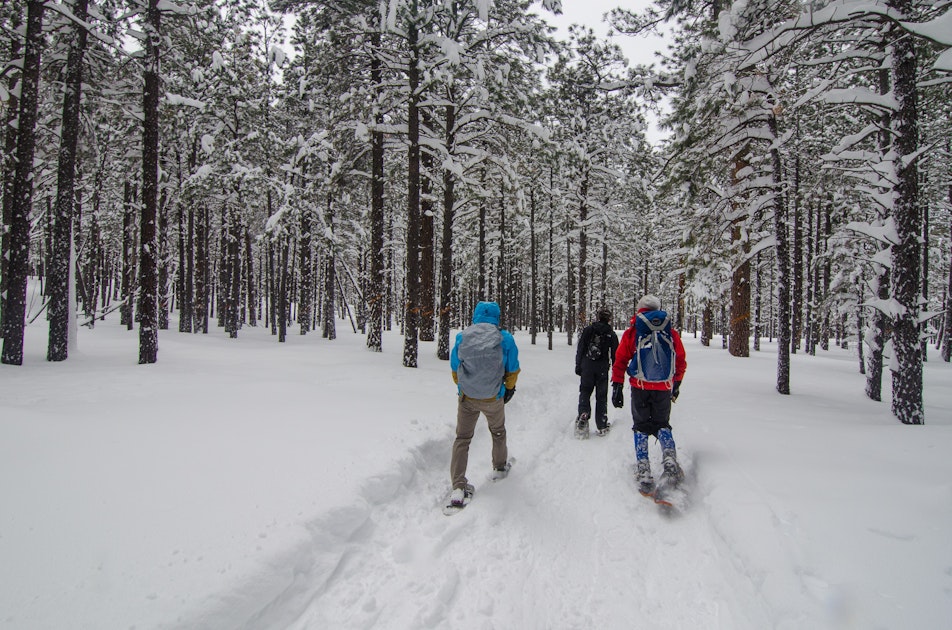 Snowshoe at the Arizona Nordic Village, Flagstaff, Arizona
