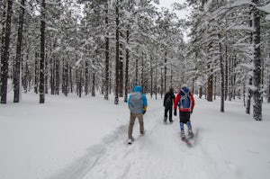 Snowshoe at the Arizona Nordic Village