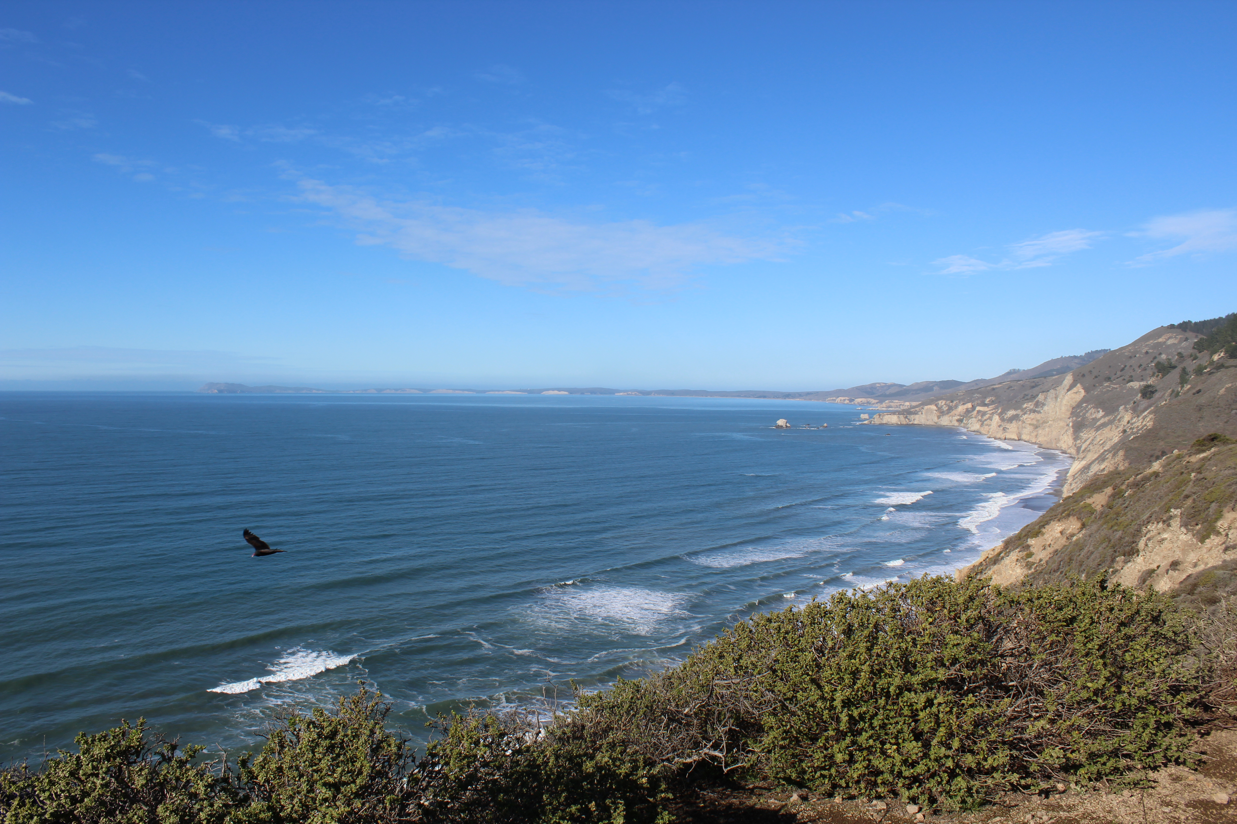 Backpack to Coast Camp in Point Reyes via Palomarin Trailhead