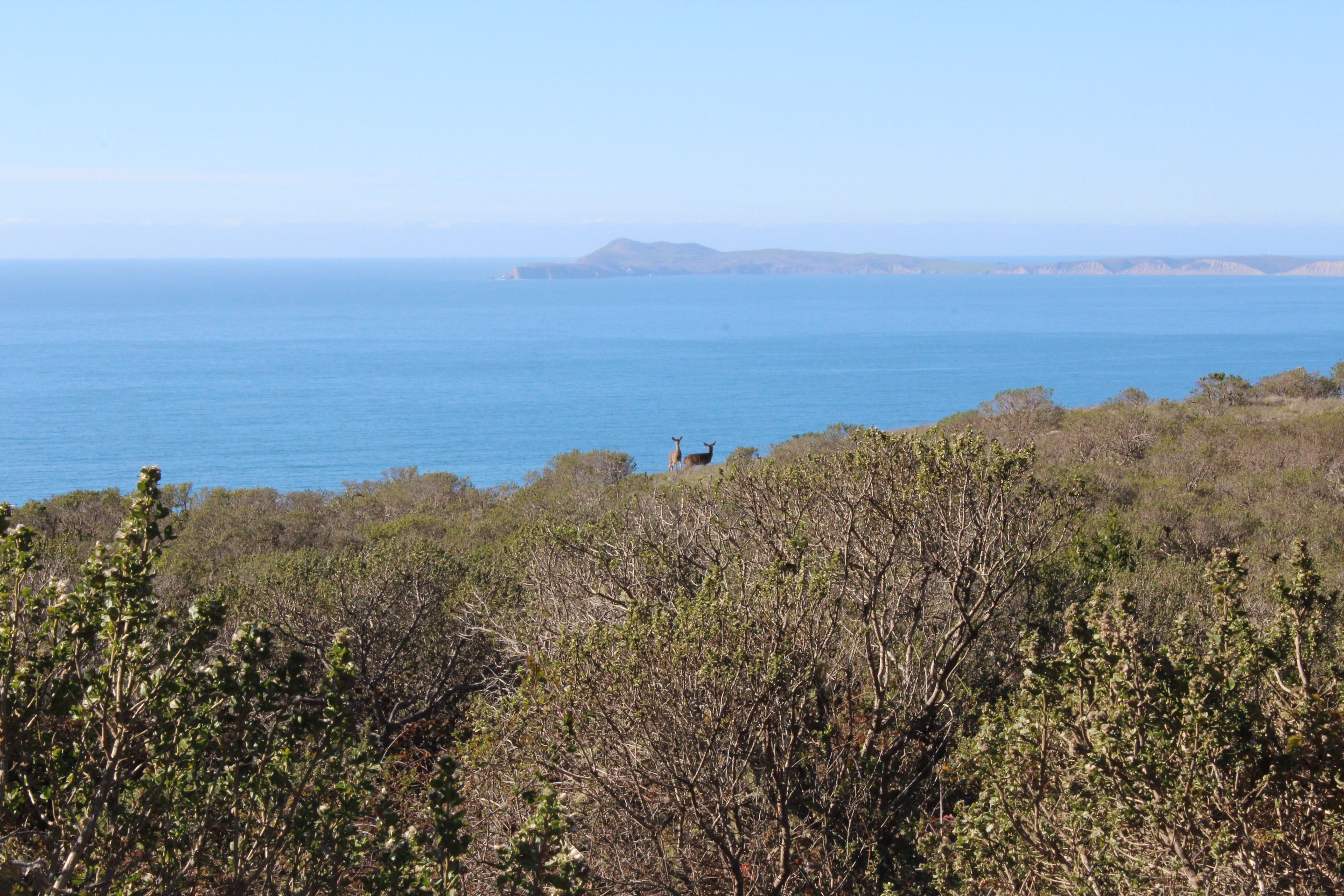 Backpack to Coast Camp in Point Reyes via Palomarin Trailhead