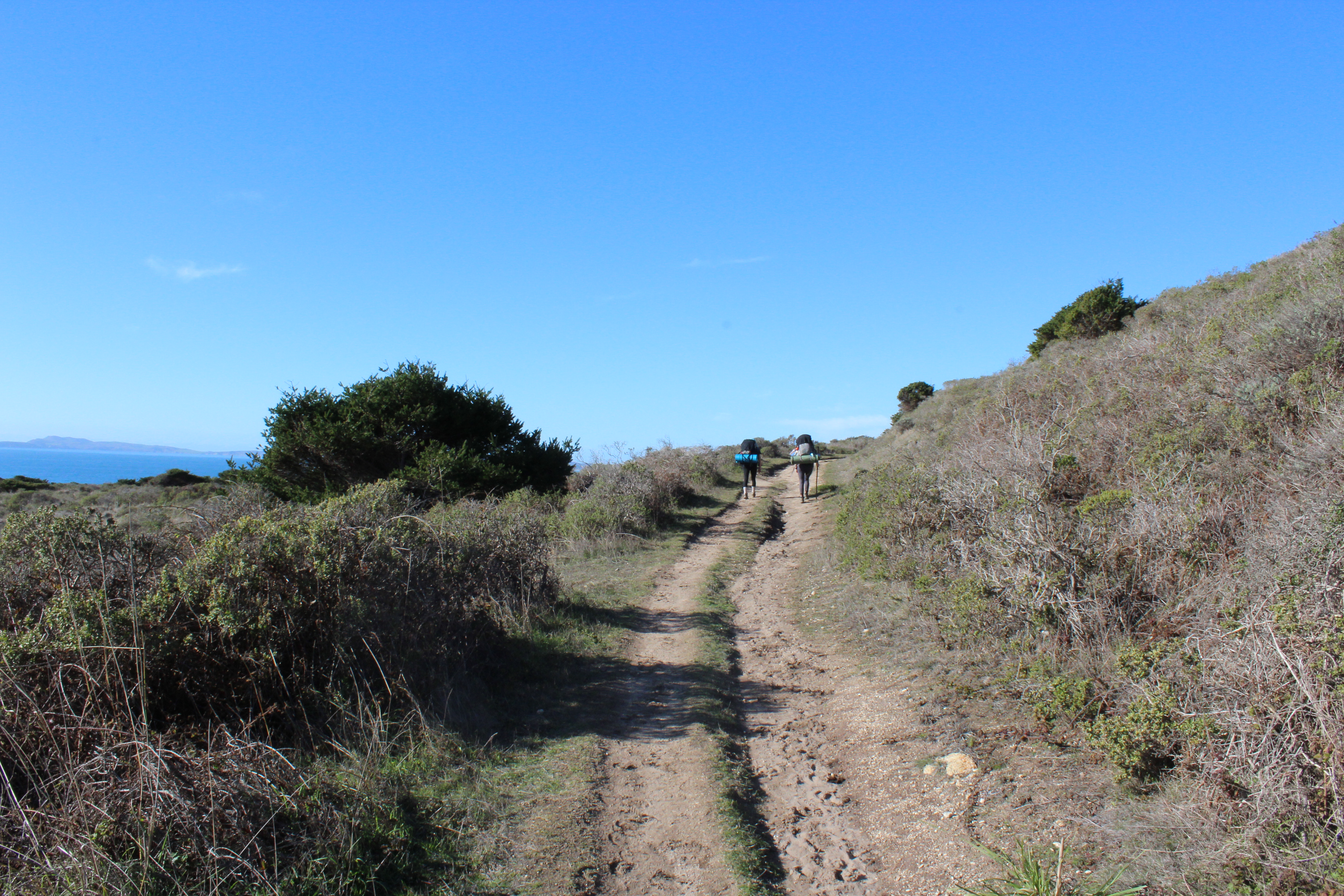 Backpack to Coast Camp in Point Reyes via Palomarin Trailhead