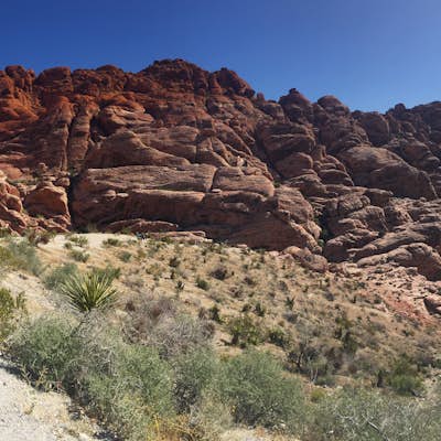 Rock Climb at Red Rock Conservation Area 