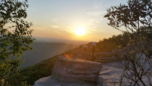 Take in the View at Coopers Rock Overlook