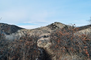 Walk the Willow Creek Loop