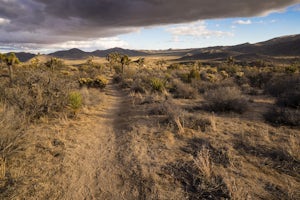 Backpack the California Riding and Hiking Trail in Joshua Tree