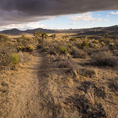 Backpack the California Riding and Hiking Trail in Joshua Tree
