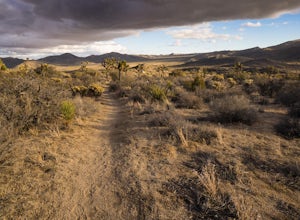 Backpack the California Riding and Hiking Trail in Joshua Tree