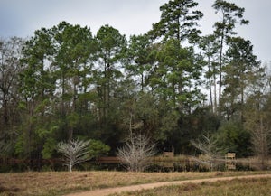 Houston Arboretum and Nature Center Outer Loop